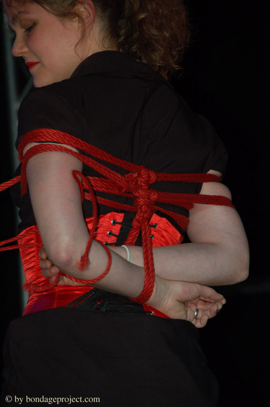 DSC_8280.jpg 73.0K